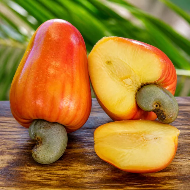 caju — pomme de cajou