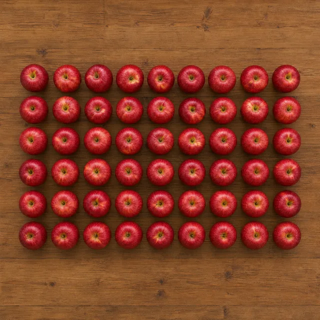 cinquenta — fifty